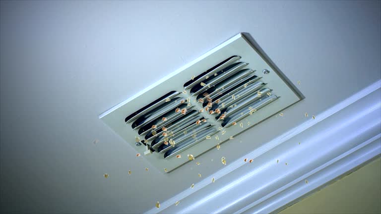 Best Commercial Air Duct Cleaning  in Rossville, TN